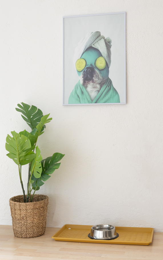 Bild Modul Kontakt